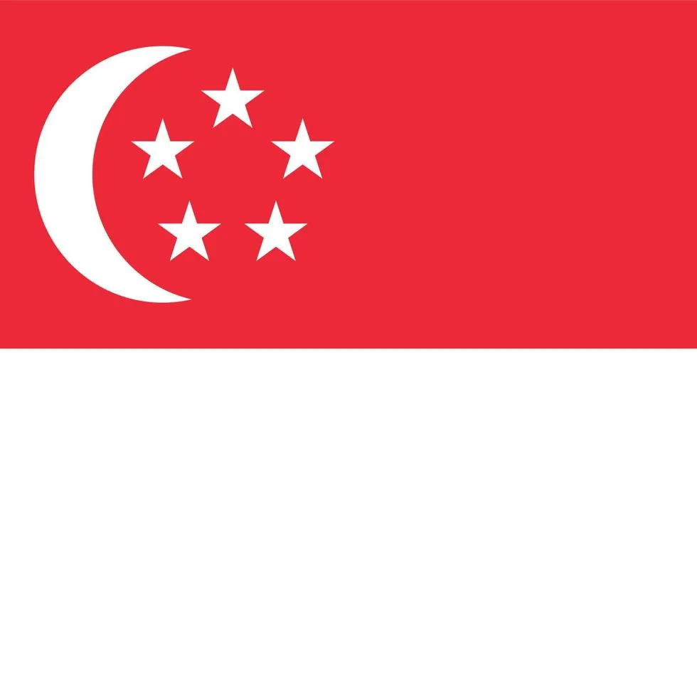 singapore-square-national-flag-f